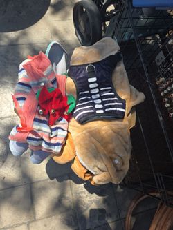 Used Small and medium dog clothes