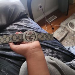 Gucci Belt < Size 44/110 >