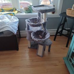 CAT JYM NEW