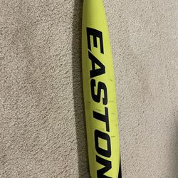 Easton USA Bat -8, 31 Inches 