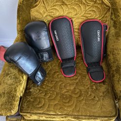 Kickboxing Boxing Gloves Shin Gaurds