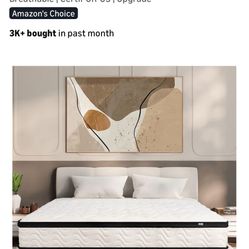 MOLIBUS Queen Mattress 10 Inch | Queen Size Hybrid Mattresses in a Box 