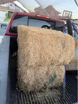 2  bales of  Hay / Alfalfa