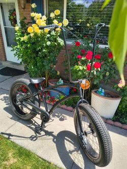 Fat bike