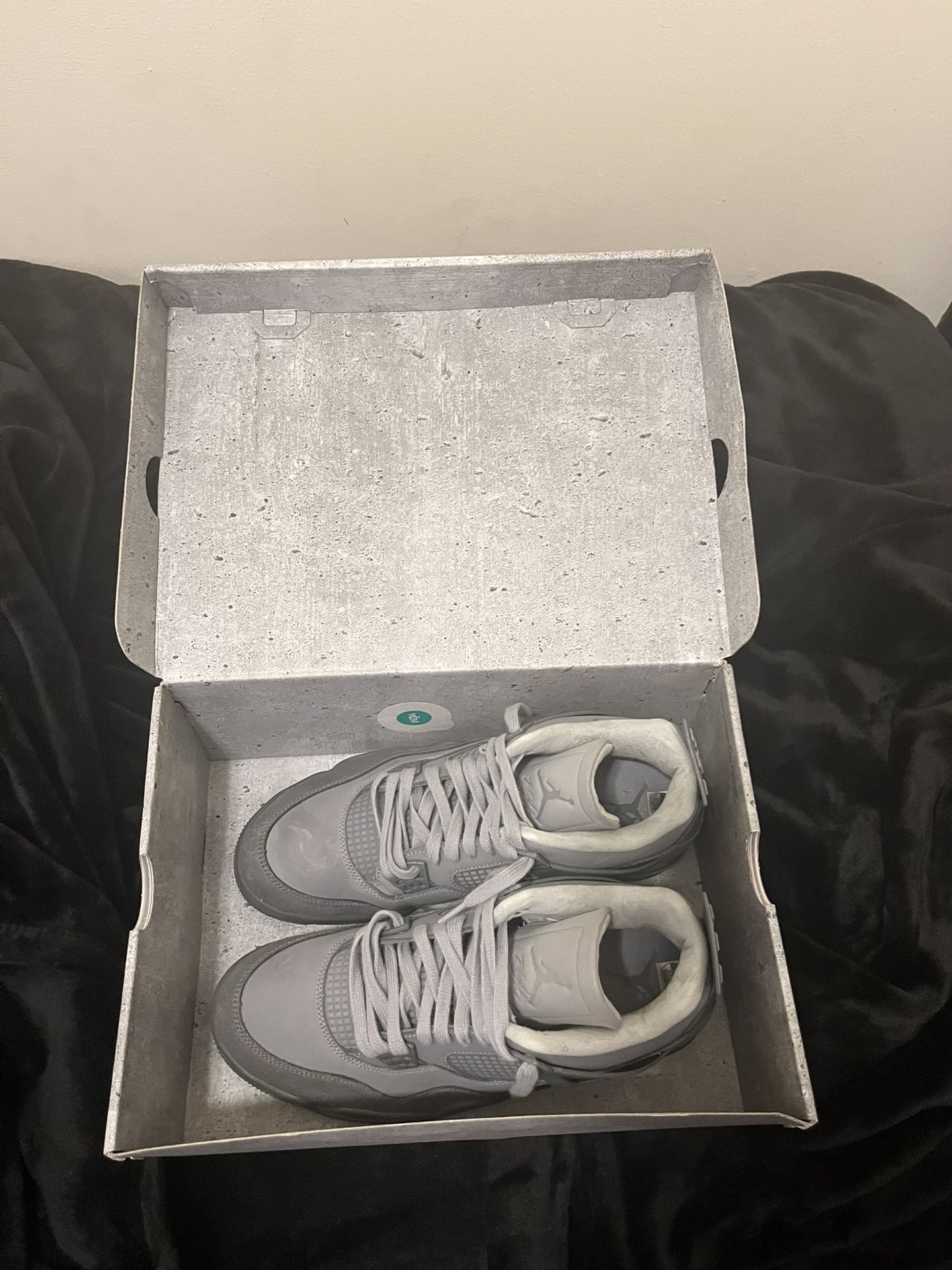 Jordan “Wet Cement” 4s