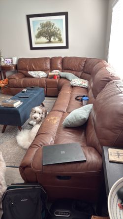 Brown genuine leather sofa - FREE