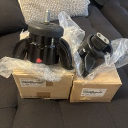 Veloster Engine Mounts