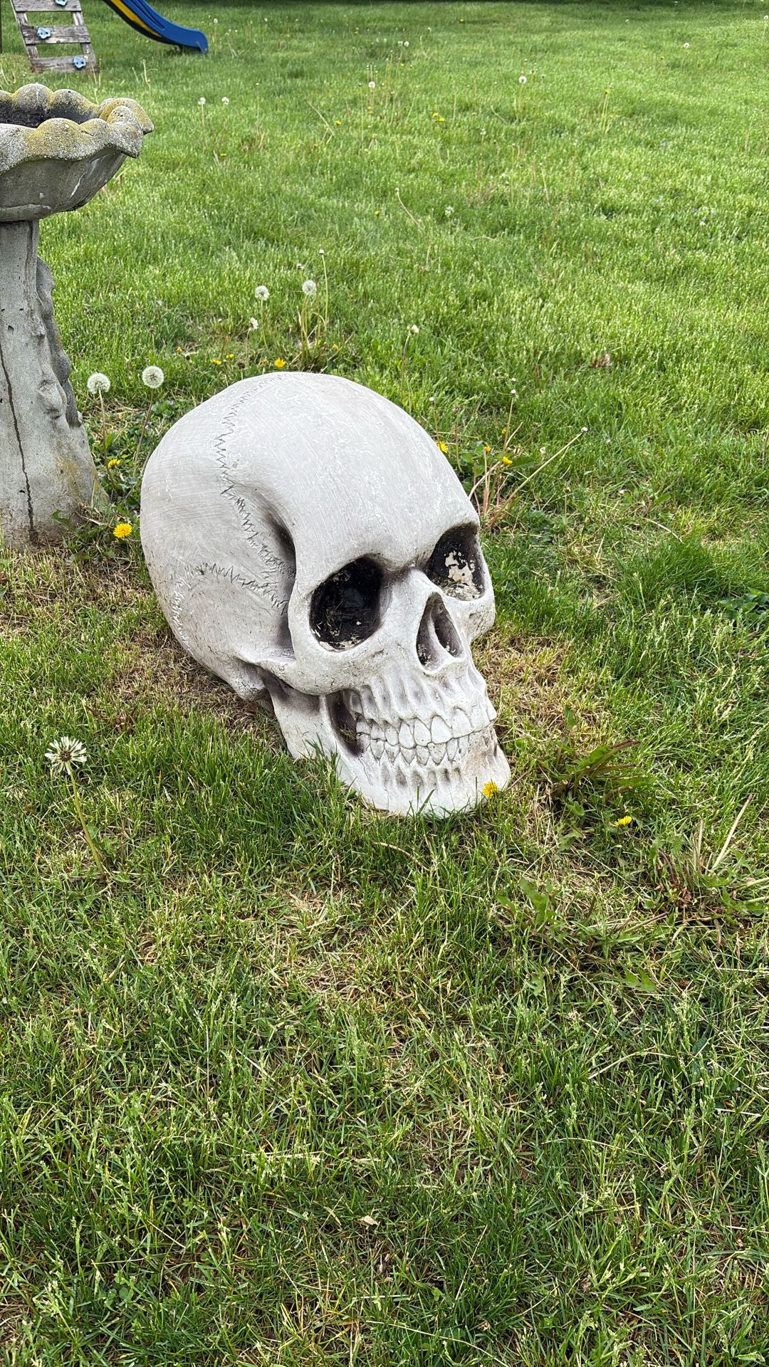 Lawn Skeleton!