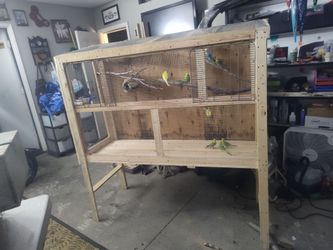 Very large bird cage includes 10 brds