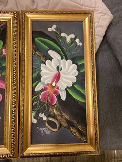Orchid Paintings. BEAUTIFUL