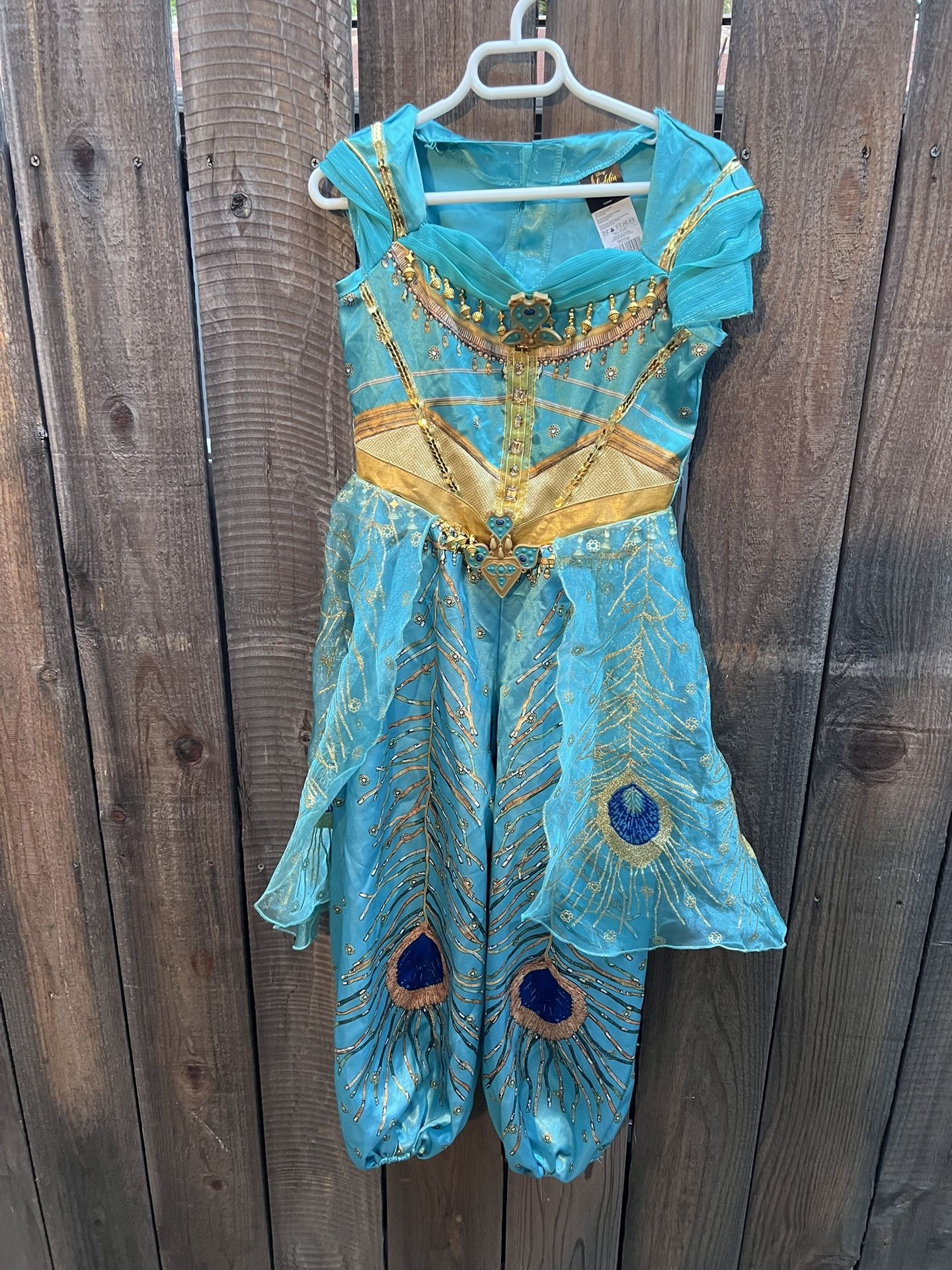 Disney Aladdin Princess Jasmine Halloween Costume
