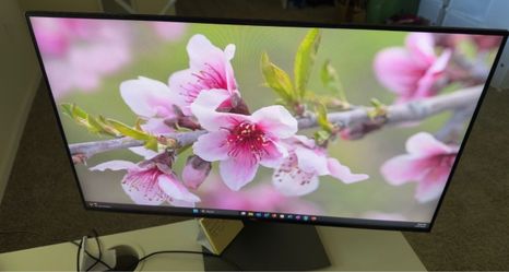 Dell Monitor