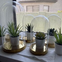 Flower Decor Glass And Plant 