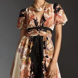 Anthropologie—The Katerina Button Front Dress 