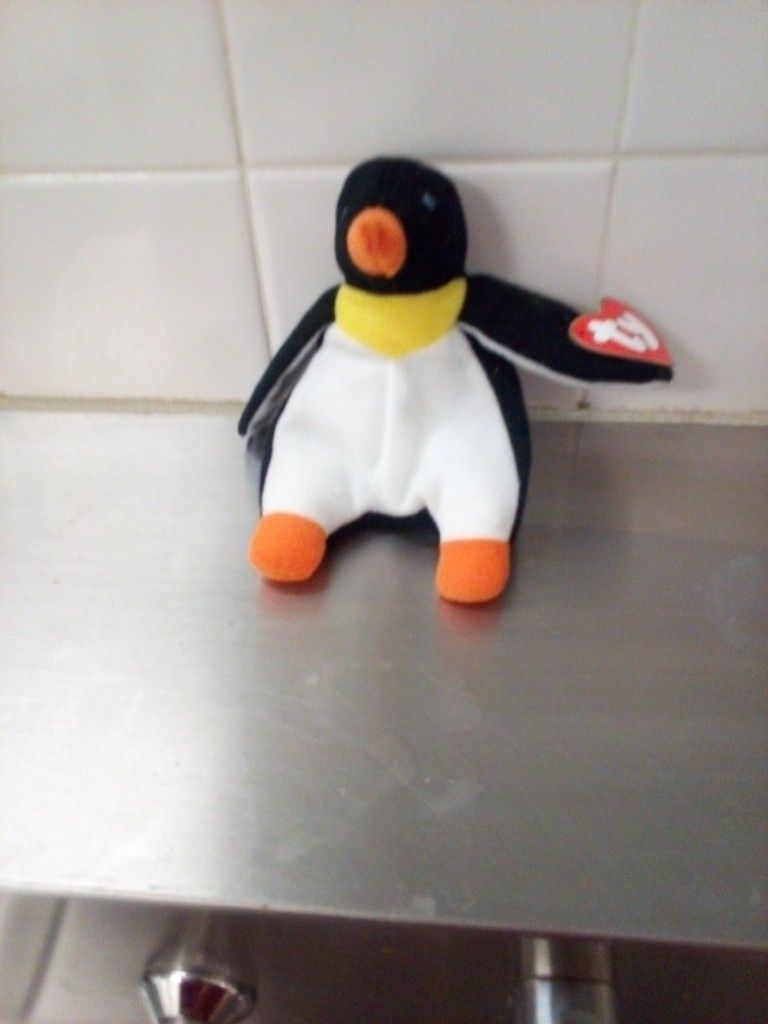 Cute Adorable Penguin 🐧