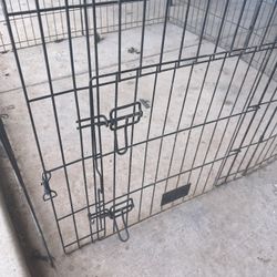 Dog Gate