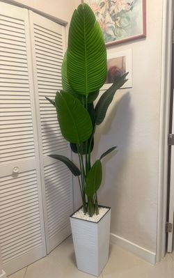 6.Ft  Arreglo artificial