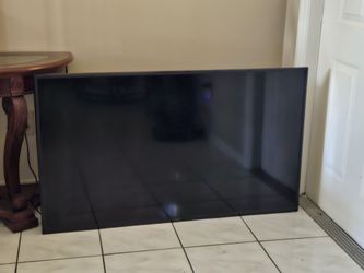 Vizio 55 Inch T. V. Model #: V555-J01