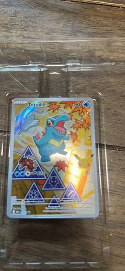 Pokémon johto set