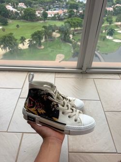 Dior B23 High-Top Sneakers