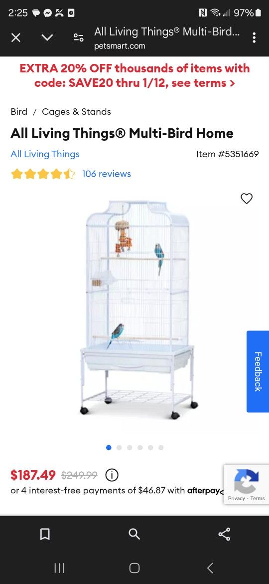 Bird Cage