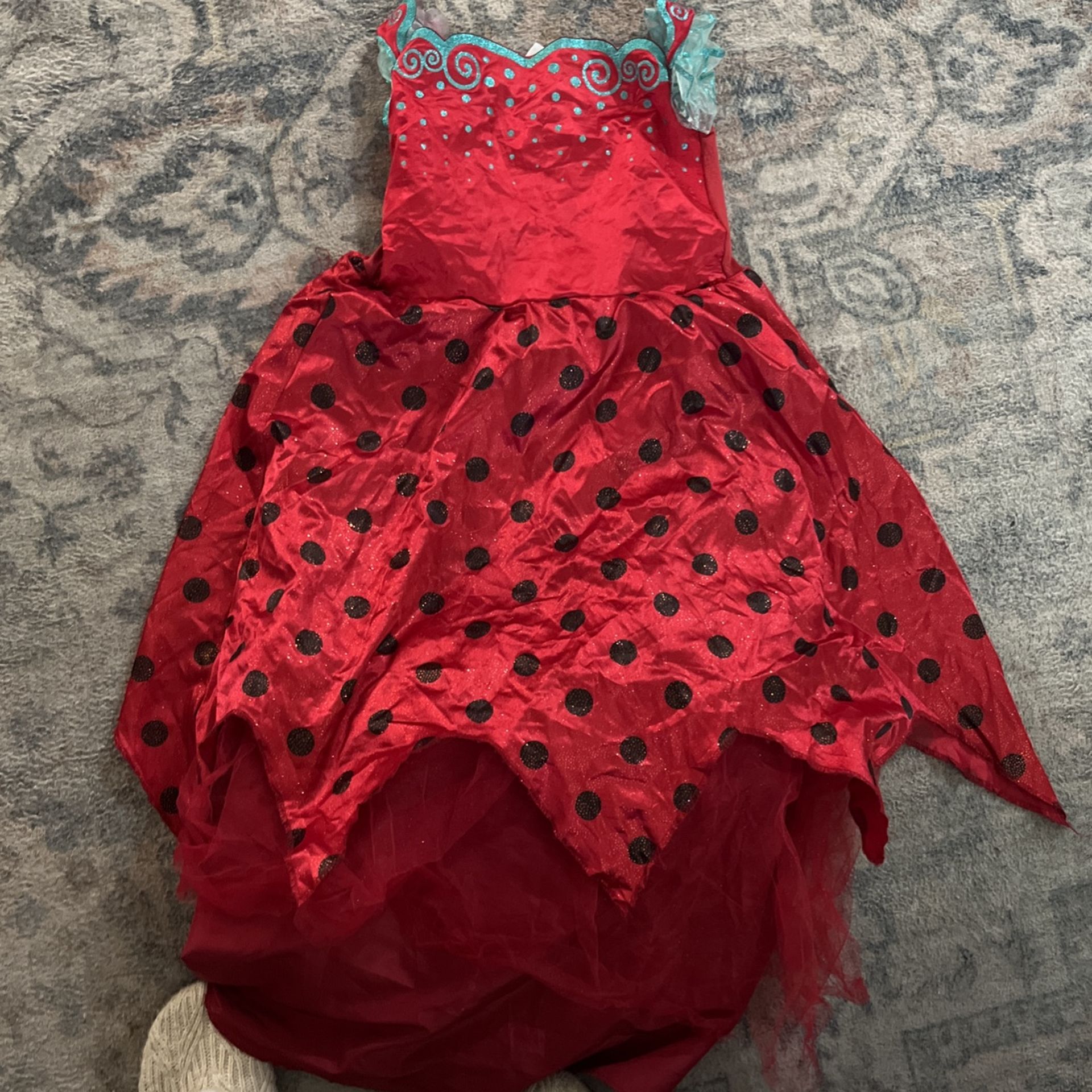 Ladybug Size 10-12