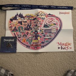 Disney Collectibles