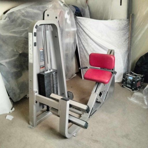 Precor Icarian Angled Seated Calf Machine for Sale in Phoenix, AZ OfferUp