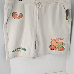 Mens 3XL (48-50) MTV Jogger Fleece Shorts 