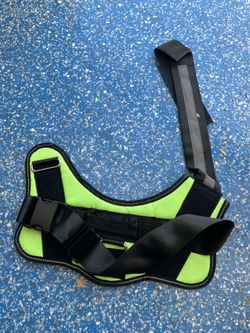 No-Pull Dog Harness (XL)