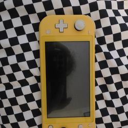 Switch lite