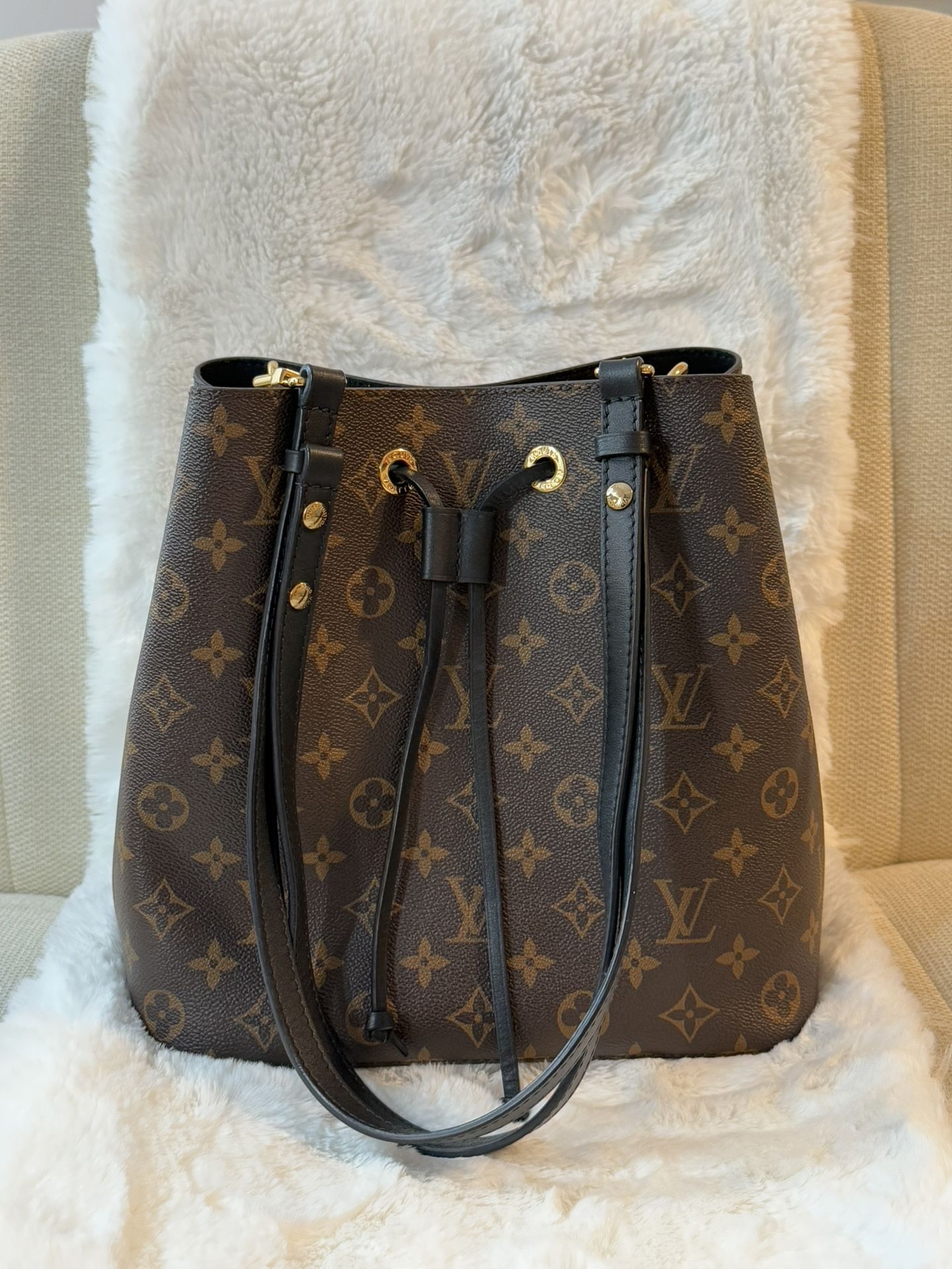 LV Bag