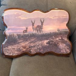Antelope Picture 