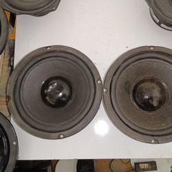 Goldwood 6.5" 8Ω Woofers Raw Drivers
