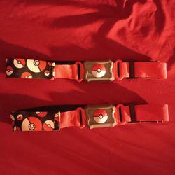 Pokémon Belt