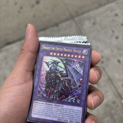 Timaeus the United Magical Dragon