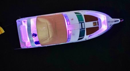 44 Searay Flybridge For Sale