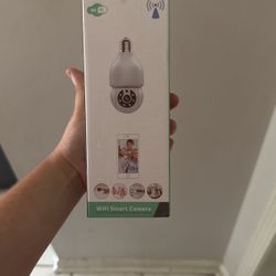 Camera In A Light Bulb 