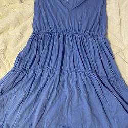 Blue Zara Dress 