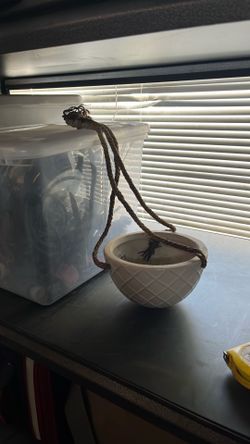 Hanging plant holder