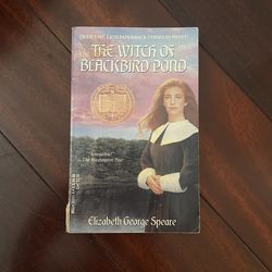 The Witch Of Blackbird Pond