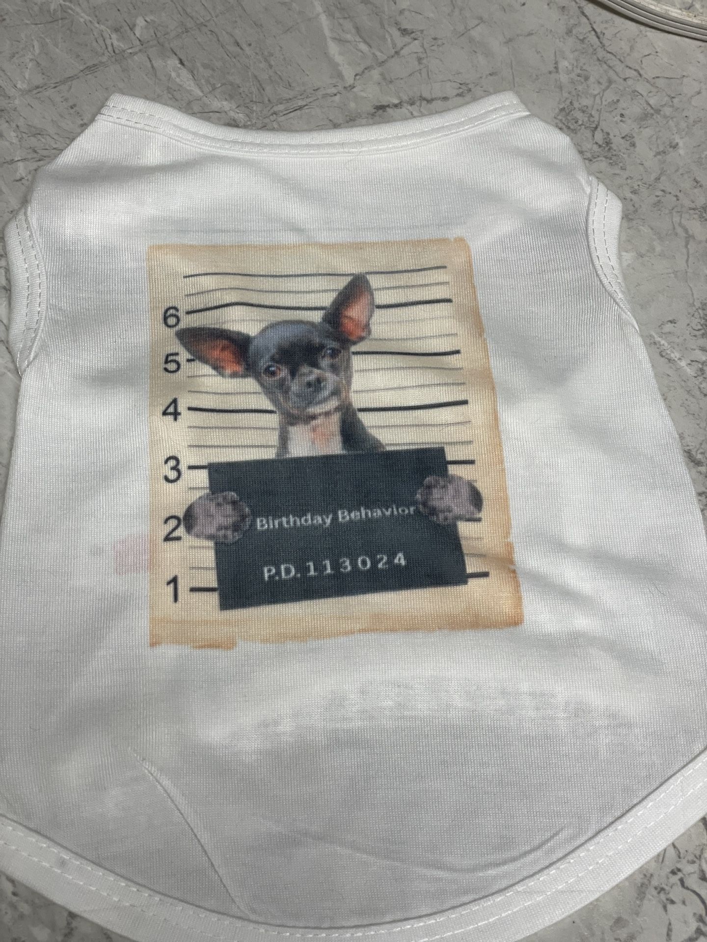 Pet Birthday Shirt
