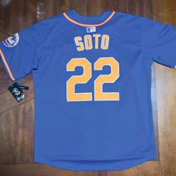 JUAN SOTO #22  Mets L & XL