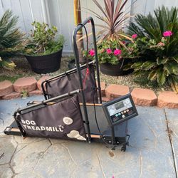 Dog Treadmill