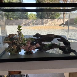 Fish Tank With Some Accessories 