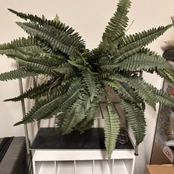 Fake Plant