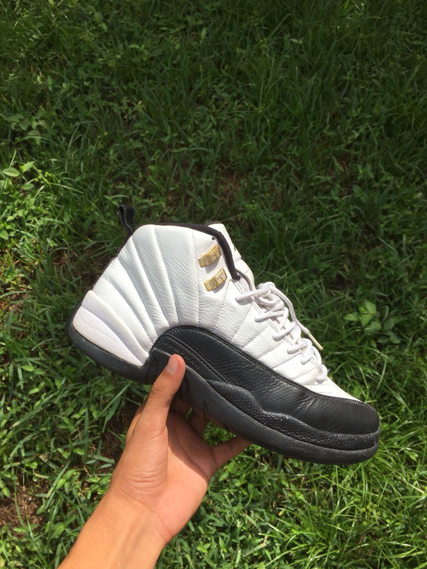 Air Jordan taxi 12s size 9