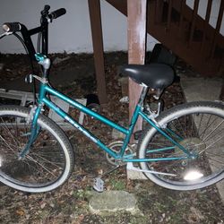 Blue Bike 