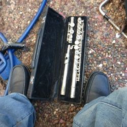 Flute Musical Instrument 