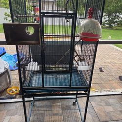 Bird Cage